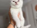 Muhteşem güzellikte prensesimiz 