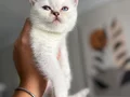 Muhteşem güzellikte prensesimiz 