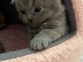 masum tatlı sevimli 