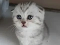 Tatlı Miniklerim teslıme hazır egıtımlerı tamamlandı