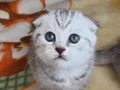 Tatlı Miniklerim teslıme hazır egıtımlerı tamamlandı