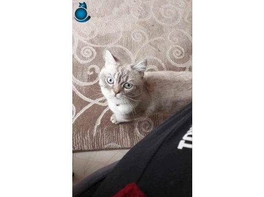 buluta yeni yuva arıyorum 