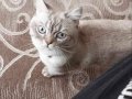 buluta yeni yuva arıyorum 