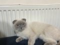 Sevimli minik 