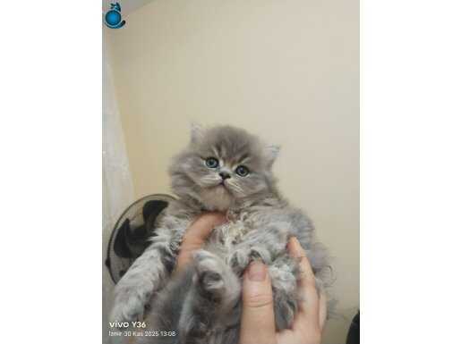 Yavrularımız yeni yuvalarına gitmeye hazırlar 