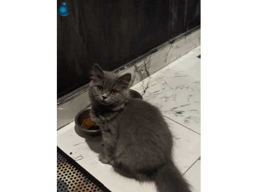 Aşıları tam 4 aylık