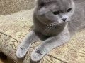 2 yaşında aşıları tam pasaport var 