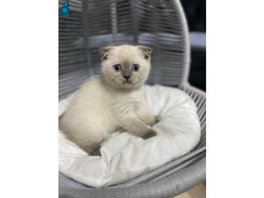 Ailenin minik ferdi 
