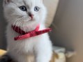 Minik yavrularım yuvalarını bekliyor