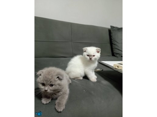DAHA UYGUN FİYATA YOK