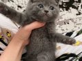 30 ocak dogumlu oyuncu bebek 
