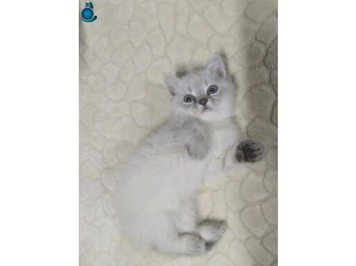 Sevimli miniklerimiz