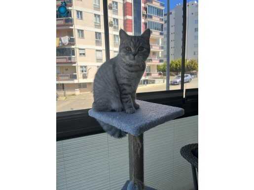 Çocuk delisi bir bebek 
