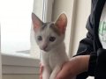 Sonsuz yuvasını arıyoruz