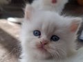 Kar tanelerim yeni yuvalarını bekliyor ????????