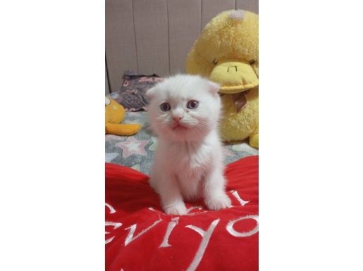 tatlı yavrumuz yuvasını arıyor