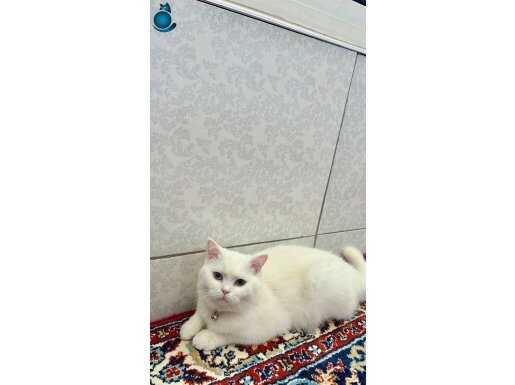 Boncuğumuz:)