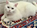 Boncuğumuz:)