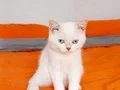 3 aylik bebekler
