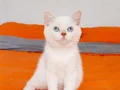 3 aylik bebekler