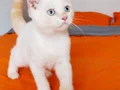 3 aylik bebekler