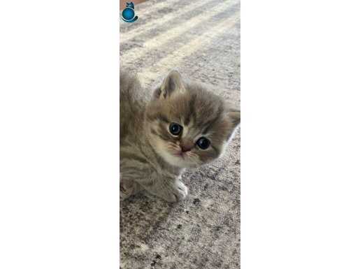 BAL VE KAYMAK KAÇIRILMIYACAK GÜZELLİKLER️️❤️❤️