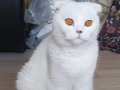 Oğlum pamuk yuva arıyor 