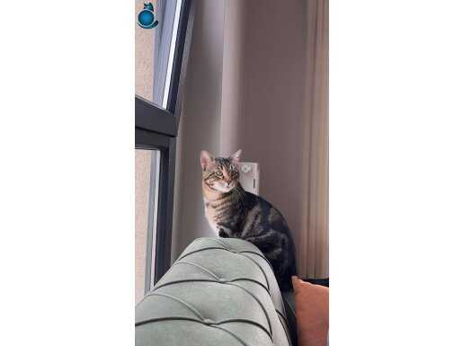oğlumu sahiplendiriyorum 