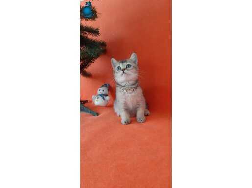 Güzel prensesimiz yeni yuvasına gitmeye hazır 