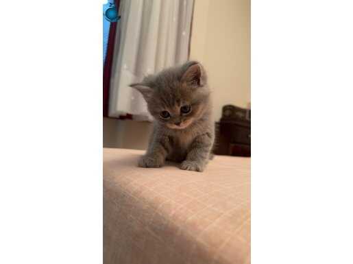 Minik bebe :) 