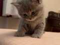 Minik bebe :) 