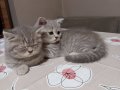 Bebişlerim ailelerini bekliyorr!!