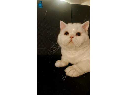 Güzel oğlumu sahiplendiriyorum