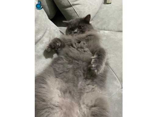 size iyi gelecek çok iyi bir arkadaş