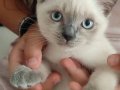 Prenses görücüye çıktı :⁠-⁠)
