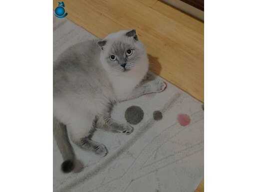 Smokey Bey