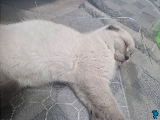 Bebeğimi eşyaları ile sahiplendireceğim