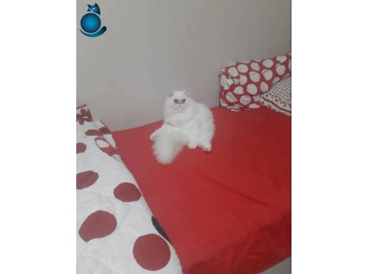 Cok sakin ve sevimli 2 side kardeş