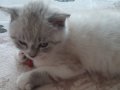 Tatlımı tatlı kızımız