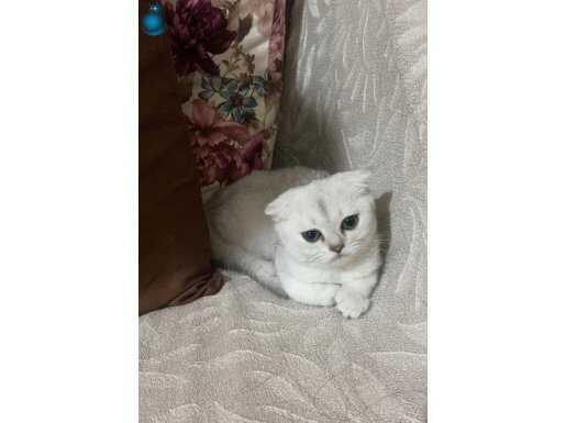 Cok tatli bir bebek 