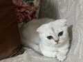Cok tatli bir bebek 