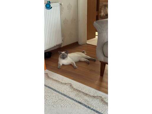 Güzel kızımız ve yakışıklı oğlumuz