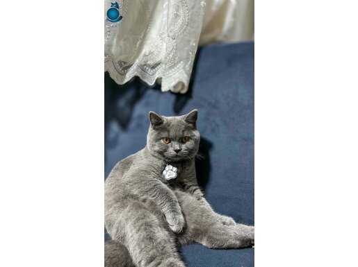 Her şeyi ile birlikte 