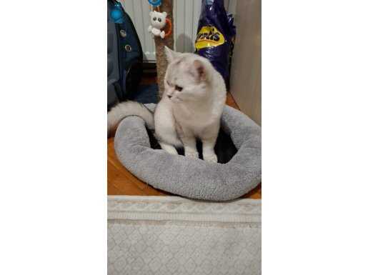 Mars’a uzun soluklu bir yuva