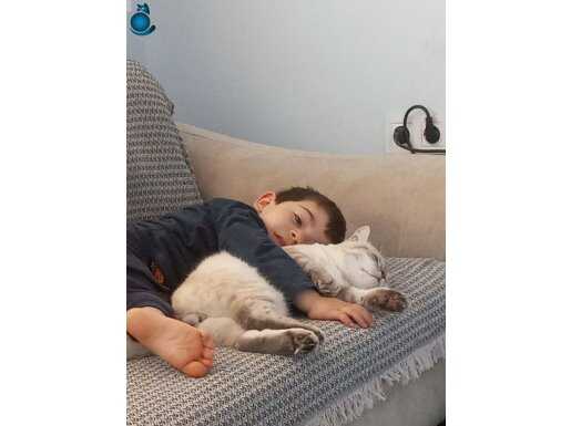 Tuvalet eğitimi vardır kesinlikle bir yere yapmadı