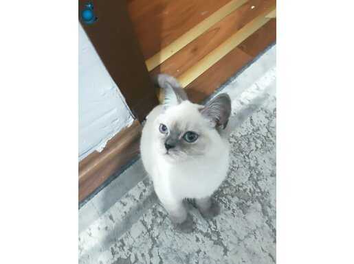 Yavrumuz gayet sağlıklıdır 