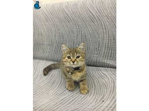 3 aylık tuvalet eğitimleri tam
