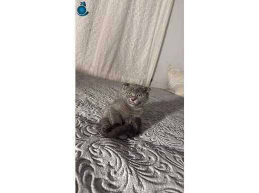 Minik yavrularımız 