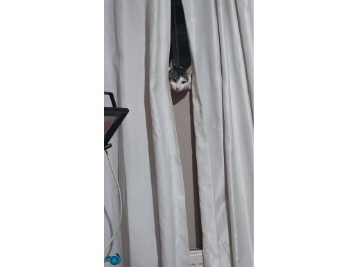 Oğlum lutus bi nazik anne istiyor