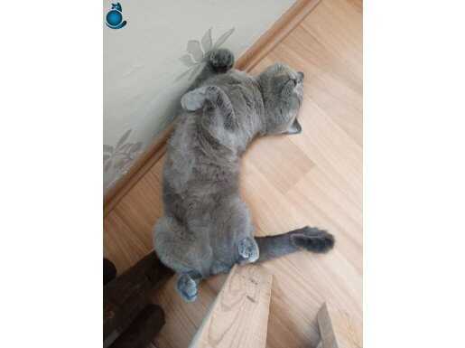 Dumana yuva arıyoruz